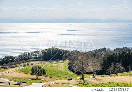 淡路花さじきの高台から見た風景 淡路花さじきの高台から見た風景 121285587