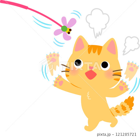猫じゃらしに興奮して遊ぶトラ猫 121285721