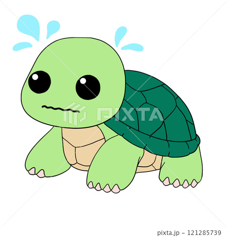 亀 亀 121285739