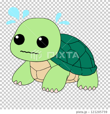 亀 亀 121285739