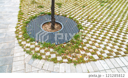 Sidewalk with tree and metal grate base, surrounded grass paving stones 121285812