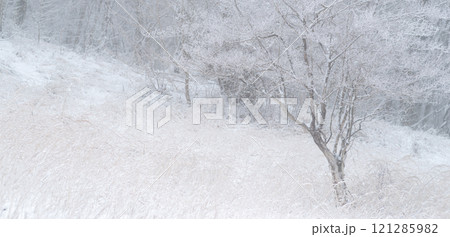 冬の景色 霧氷 冬の景色 霧氷 121285982