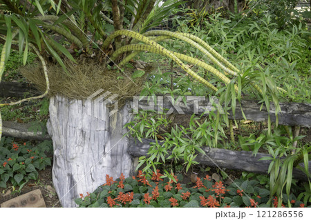 Thai agricultural produce to be exhibited at the fair 121286556