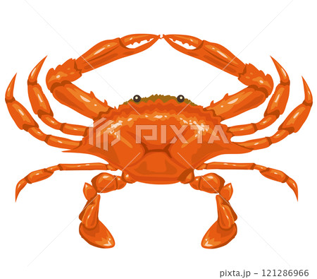 ワタリガニ 121286966