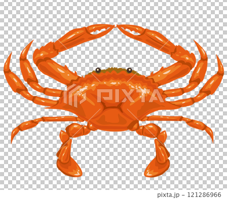 ワタリガニ 121286966