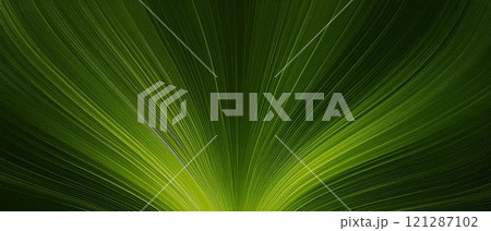 糸の束のような抽象画像 糸の束のような抽象画像 121287102