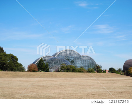青空に映えるガラスドーム|夢の島熱帯植物園 青空に映えるガラスドーム|夢の島熱帯植物園 121287246