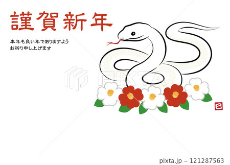 ツバキのお花と八の字にとぐろを巻いている縁起の良い蛇のイラスト 墨絵風でお洒落な巳年の年賀はがき 121287563