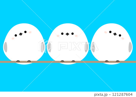 シマエナガ3羽 121287604