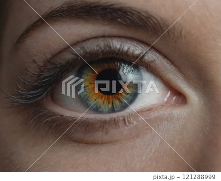 female eye close up 121288999