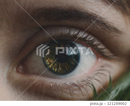 female eye close up 121289002