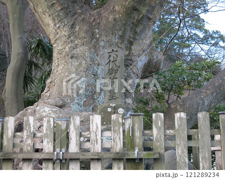 逗子市の田越川そばにある六代御前(平高清)の墓 逗子市の田越川そばにある六代御前(平高清)の墓 121289234