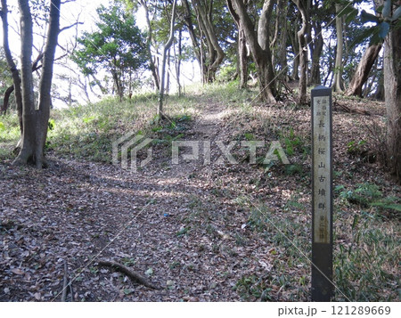 長柄桜山古墳群の第2号墳 長柄桜山古墳群の第2号墳 121289669
