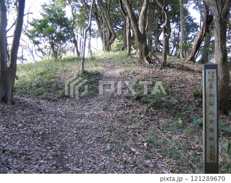 長柄桜山古墳群の第2号墳 121289670