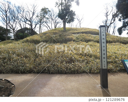 長柄桜山古墳群の第1号墳 長柄桜山古墳群の第1号墳 121289676