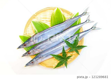 サンマ 秋刀魚 さんま サンマ 秋刀魚 さんま 121289681
