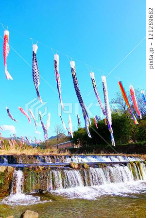 こいのぼり 鯉のぼり 鯉幟 高瀬川 山形市 こいのぼり 鯉のぼり 鯉幟 高瀬川 山形市 121289682