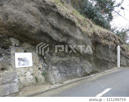 逗子市の鐙摺の不整合を示す露頭 121289759