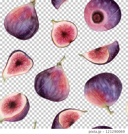 Delicious purple figs watercolor seamless pattern on white. Whole fruits and slices with juicy pulp repeat background in realistic botanical style with halved berries. Delicacy summer food Delicious purple figs watercolor seamless pattern on white. Whole fruits and slices with juicy pulp repeat background in realistic botanical style with halved berries. Delicacy summer food 121290069