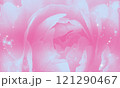 ピンク色の花びらのバラとキラキラ 121290467