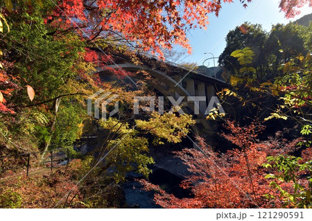 御岳橋と紅葉 御岳橋と紅葉 121290591