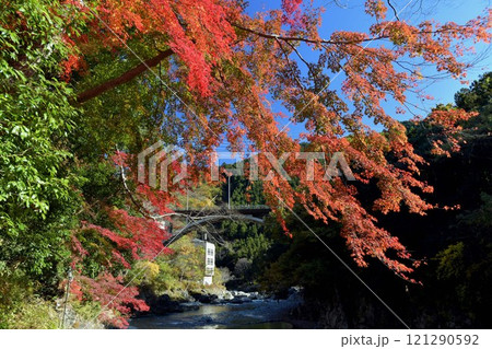 御岳橋と紅葉 御岳橋と紅葉 121290592
