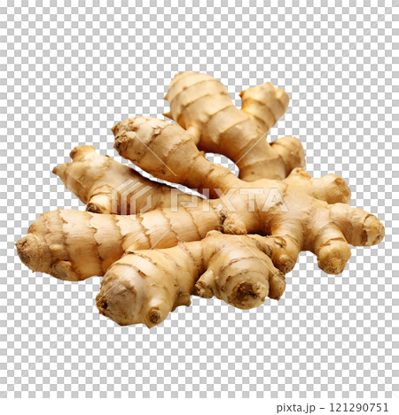 Ginger on an isolated background, easy to use in any design 121290751