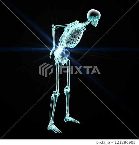 Human skeleton with lower back pain, 3D illustration 121290903