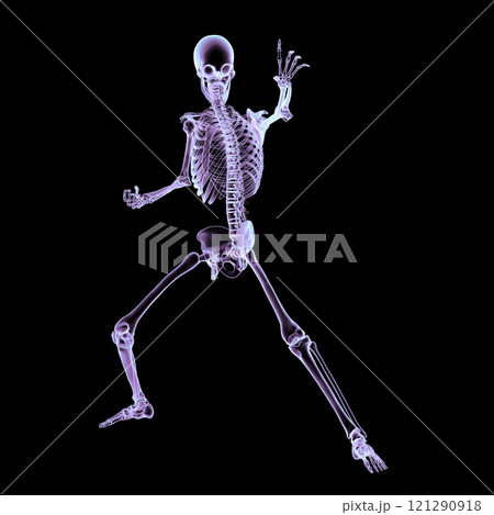Human skeleton in a dynamic fighting pose, 3D illustration 121290918