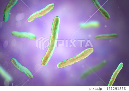 Mycobacterium tuberculosis bacteria, 3D illustration Mycobacterium tuberculosis bacteria, 3D illustration 121291858