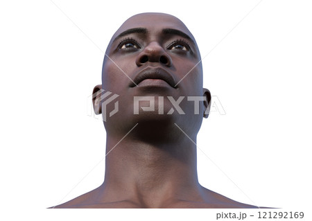 A young African man's hairless head from bottom view, 3D illustration 121292169