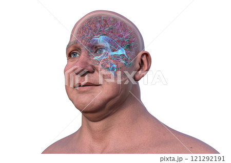 Human brain with the cerebral aqueduct and the ventricular system, 3D illustration 121292191