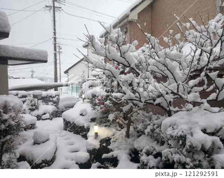 庭に積もった雪 一面の雪景色 庭に積もった雪 一面の雪景色 121292591