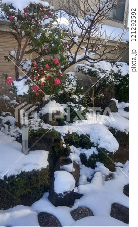 庭に積もった雪 一面の雪景色 庭に積もった雪 一面の雪景色 121292592