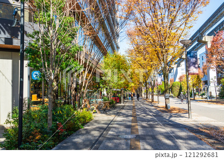 立川市 秋のサンサンロード 立川市 秋のサンサンロード 121292681