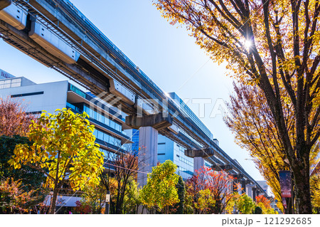 立川市 秋のサンサンロード 立川市 秋のサンサンロード 121292685