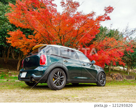 紅葉とミニクロスオーバー 紅葉とミニクロスオーバー 121293820