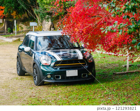 紅葉とミニクロスオーバー 紅葉とミニクロスオーバー 121293821