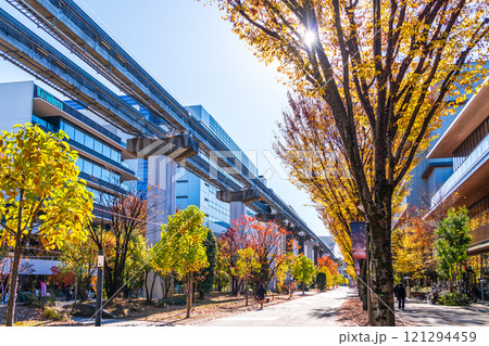 立川市　秋のサンサンロード 121294459