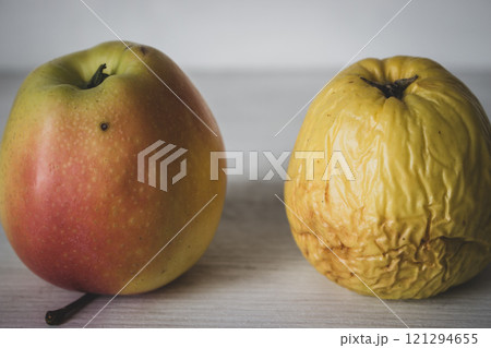 Fresh and rotten apple on white background. Fresh red apple and wrinkled apple. Young and old concept. Aging process concept. Skin care concept. Decay in nature. Difference in age. Passing of time Fresh and rotten apple on white background. Fresh red apple and wrinkled apple. Young and old concept. Aging process concept. Skin care concept. Decay in nature. Difference in age. Passing of time 121294655