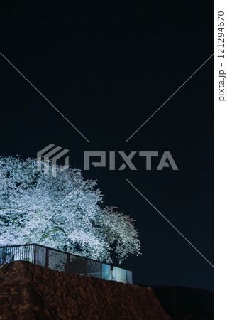 夜空に浮かぶ戌亥櫓台のサクラ【松代城跡】 夜空に浮かぶ戌亥櫓台のサクラ【松代城跡】 121294670