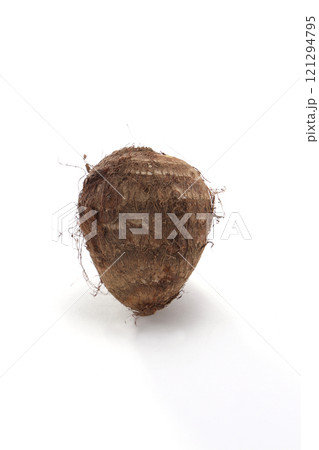 美味しい里芋 121294795