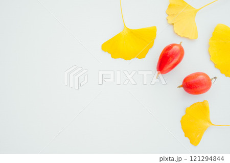 イチョウの落ち葉とカラスウリ　白背景　室内 121294844