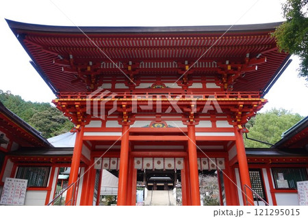 大津市近江大津宮 近江神宮楼門 大津市近江大津宮 近江神宮楼門 121295015