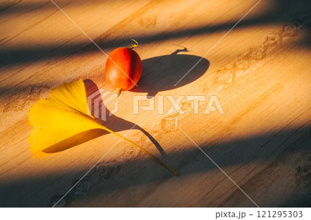 窓から差し込む西日に照らされるカラスウリとイチョウ　室内 121295303