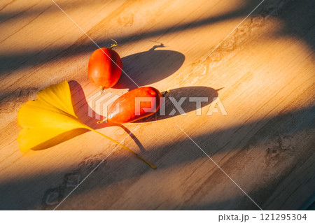 窓から差し込む西日に照らされるカラスウリとイチョウ　室内 121295304