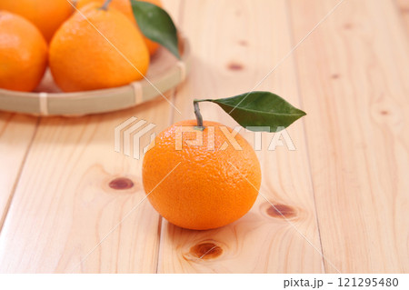 美味しそうなみかん 美味しそうなみかん 121295480