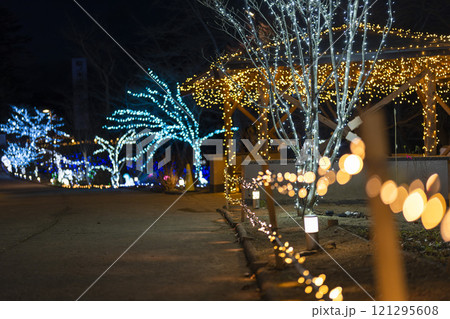 冬のイルミネーションShibata Fantasy Illumination2024　宮城県柴田町 121295608