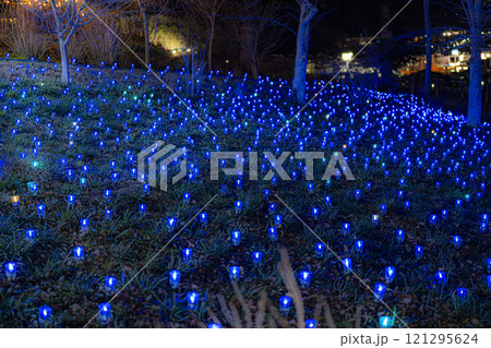 冬のイルミネーションShibata Fantasy Illumination2024 宮城県柴田町 冬のイルミネーションShibata Fantasy Illumination2024 宮城県柴田町 121295624