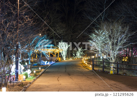 冬のイルミネーションShibata Fantasy Illumination2024 宮城県柴田町 冬のイルミネーションShibata Fantasy Illumination2024 宮城県柴田町 121295626